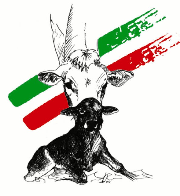 logo anabic grande